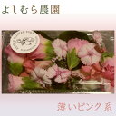 【食べるお花・エディブルフラワー よしむら農園】薄いピンク系お花パック /冷蔵便/食用花 料理 パーティー 高知