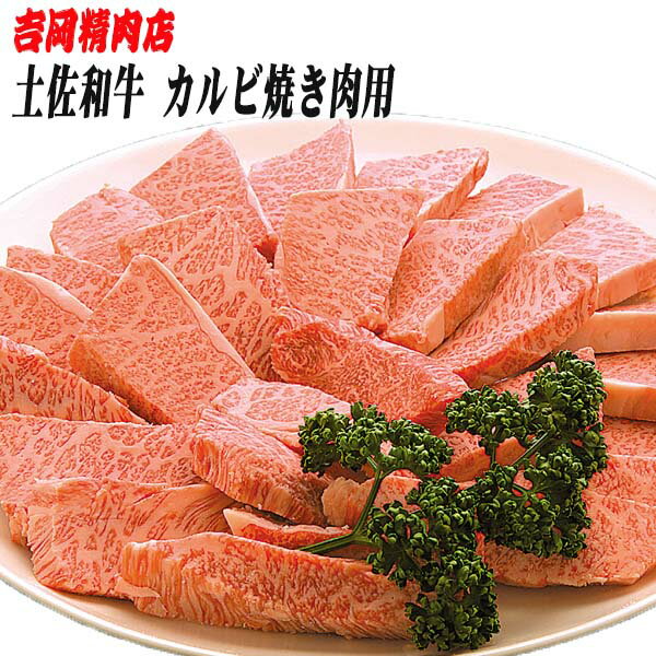 吉岡精肉店厳選 土佐和牛カルビ 焼肉用 500g/冷凍便/高知/高知県産/贈答/プレゼント