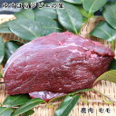 鹿 モモ 400g(ブロック) ゆすはらジビエの里 冷凍便 高知県産 シカ ジビエカー GIBIER しか 国産