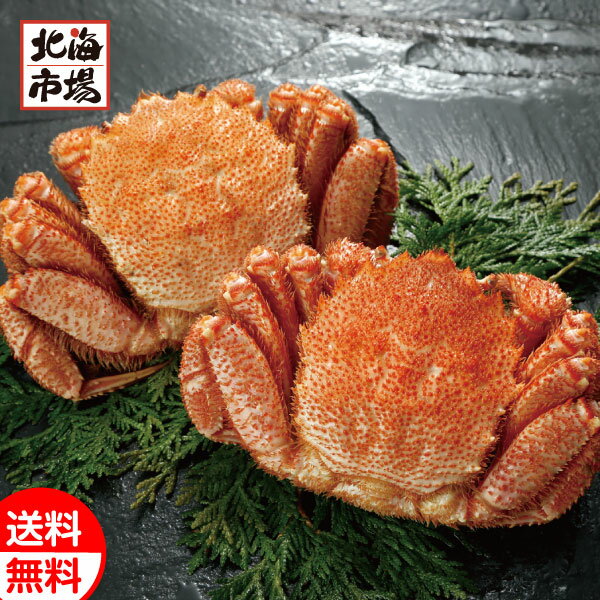 北海道産 毛がに姿2尾(500g×2) 送料無料 毛ガニ 毛蟹 北海道 海産ギフト 贈り物 お祝い  ...