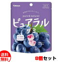 カバヤ ピュアラルグミ ぶどう味 58g×8個セット 送料無料 メール便 お菓子 おやつ メール便 卒業 入学 母の日 プレゼント