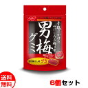 【商品名】 ノーベル 男梅グミ 6個セット 【内容量】 6個セット 【賞味期限】 約90日 【保存方法】 常温 【原材料名】砂糖（国内製造）、水飴、ゼラチン、食塩、梅干しパウダー、デキストリン、乳清タンパク、植物油脂、梅酢、梅肉、赤しそ、たん白加水分解物／加工でん粉、酸味料、グリセリン、塩化カリウム、調味料（アミノ酸等）、乳化剤、香料、着色料（紅麹、野菜色素）、甘味料（ステビア、アスパルテーム・L-フェニルアラニン化合物）、光沢剤、（一部に乳成分・ゼラチン・大豆を含む） 【メーカー】 ノーベル ※当店では納品書（お買上明細・領収書）を同梱しておりません 【ご利用キーワード】お菓子 スイーツ おやつ グルメ 食品 名物 お土産 仕送り 誕生日 バレンタインデー ホワイトデー 母の日 父の日 敬老の日 プレゼント 贈り物