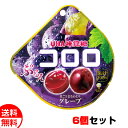 UHA味覚糖 コロロ グレープ味 グミ 48g×6個セット 送料無料 メール便 お菓子 おやつ メール便 お中元 御中元 父の日 プレゼント