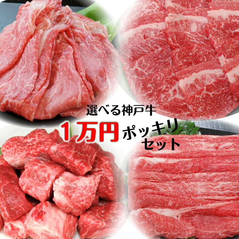 色々使えるオススメ商品 神戸牛選べる1万円ポッキリセット