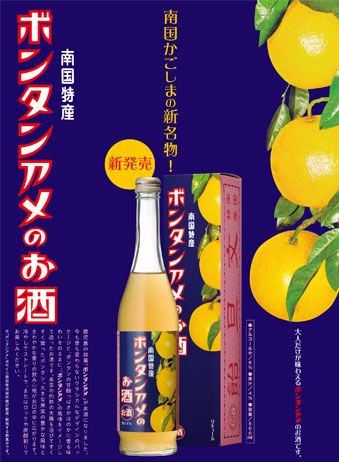 ボンタンアメのお酒　500ml