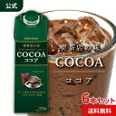 【25日限定ポイント2倍】 守山乳業 [公式ショップ] 喫茶店の味 ココア 1000g (1リットル 1L) 6本 MORIYAMA 守山 送料無料 大容量 ココ..