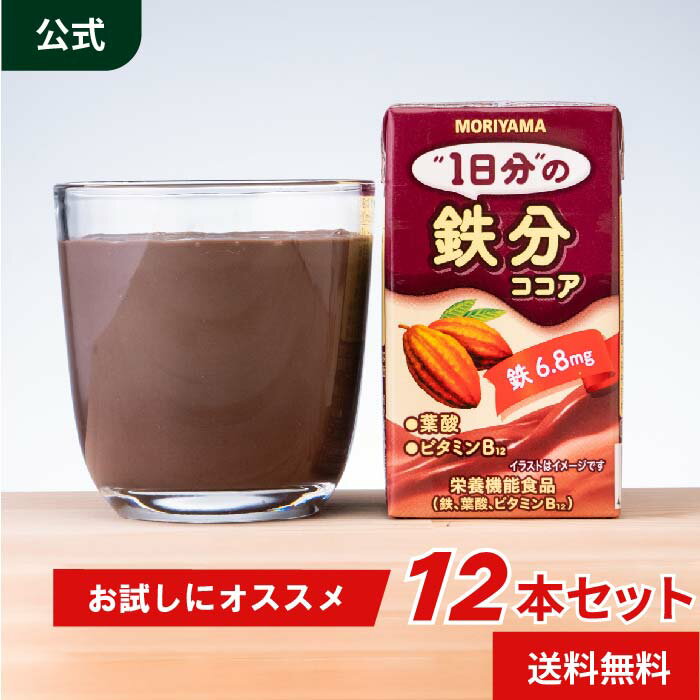 【販売中・お試し12本】 守山乳業 [1日分の鉄分]ココア125ml 12本 栄養機能食品 鉄 葉酸 ビタミン12 送料無料 ココア アイスココア 詰め合わせ セット 飲料 お徳用 ドリンク おいしい 健康飲料 美味しい 健康ドリンク ココア飲料 ジュース ホットココア