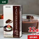 守山乳業  チョコレート プリン プラス 551g 500ml MORIYAMA 送料無料 12本 業務用 ベルギー産 クーベルチュールチョコ 大容量 鉄 亜鉛 栄養機能食品 大容量 手作り デザート 紙パック