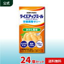 MORIYAMA ライズアップミール 栄養調整ゼリー みかん風味 135g 125ml 24個 セット 高カロリー デザート 介護食 栄養補助食品 常温保存 送料無料