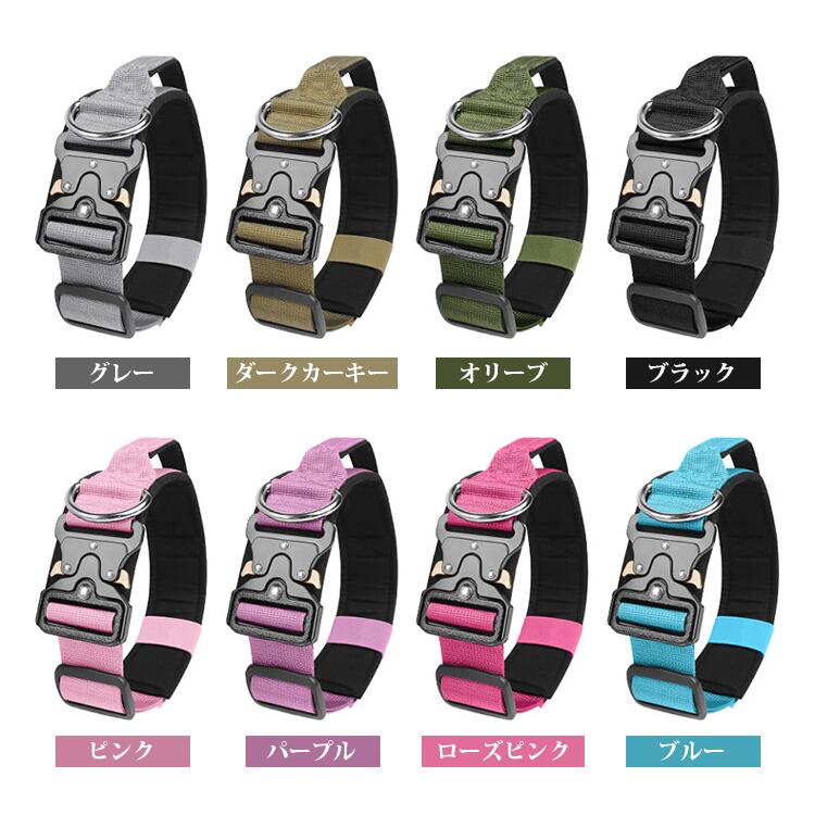 サンプル画像2