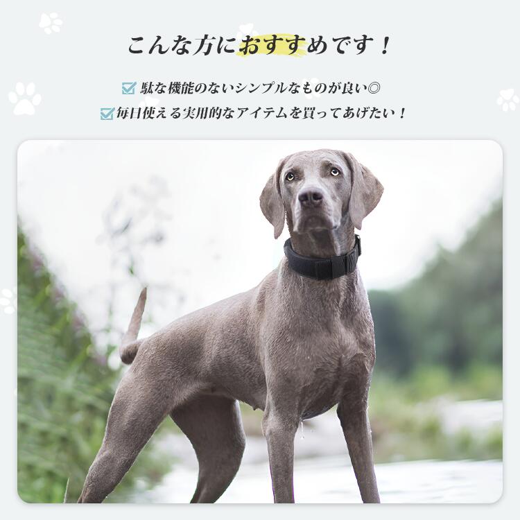 サンプル画像3