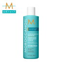 【ブランド公式】モロッカンオイル インテンスモイスチャーシャンプー 250ml 65ml | 正規品 シャンプー ヒアルロン酸 アルガンオイル MOROCCANOIL
