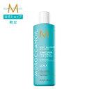 【ブランド公式】<新発売>モロッカンオイル スカルプバランシング シャンプー 選べる 70ml or 250ml| スカルプコレクション SCALP COLLECTION 頭皮ケア スカルプケア シャンプー 正規品 直営店 公式店 アルガンオイル MOROCCANOIL