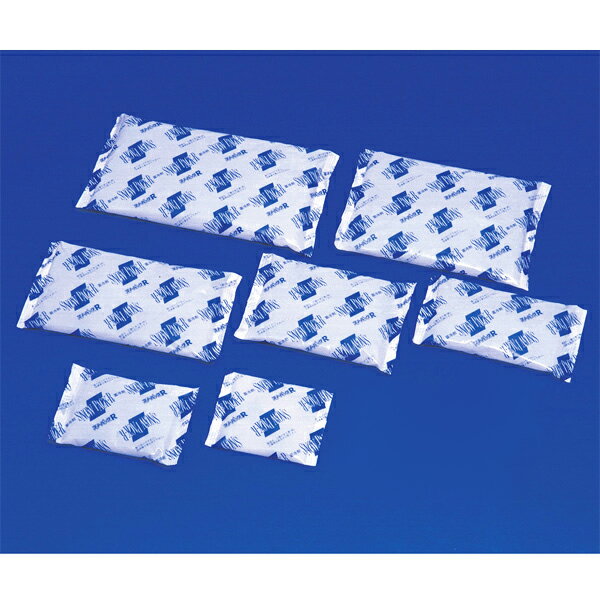 【保冷剤】蓄冷剤 スノーパック 300g R-30(60個入り)通販格安セール情報 楽天 通販