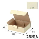 【箱】 宅送用ギフト箱 300×210×60 (100枚入) ギフトボックス ダンボール 段ボール 梱包用 宅配用 紙箱