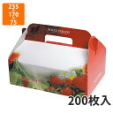 【化粧箱】L-2266 ルージュパラディ 235×170×75mm (200枚入)【代引不可】 フルーツ用 ギフト用 ギフトボックス 紙箱 果物箱 贈答用 青果用 果物用 いちご
