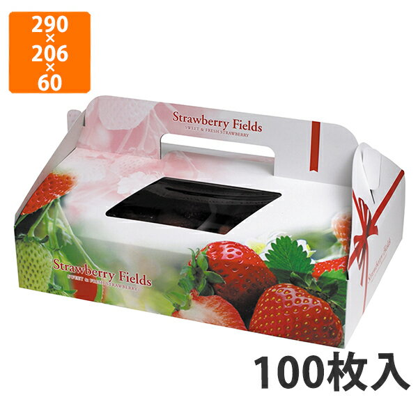 【BLACK FRIDAYエントリーでポイント7倍！】【化粧箱】L-2271 ストロベリーフィールズ2P 290×206×60mm (100枚入)【代引不可】 フルーツ用 ギフト用 ギフトボックス 紙箱 果物箱 贈答用 青果用 果物用 いちご