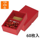 【化粧箱】】L-2424 フルーツトレー500g2P赤 170×270×95mm (60枚入)【代引不可】 フルーツ用 ギフト用 ギフトボックス 紙箱 果物箱 贈答用 青果用 果物用 さくらんぼ(3)