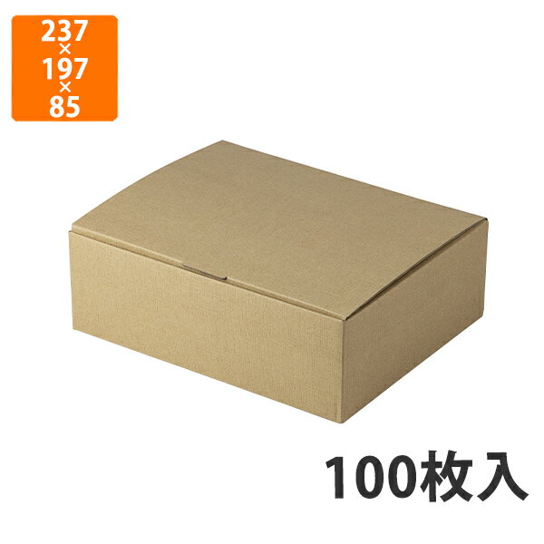 【化粧箱】17-6 ハム不織布台紙付箱 特大　237×197×85mm (100枚入)【代引不可】 ギフト箱 紙箱 加工食品用 贈答用 精肉用 宅配用 ギフトボックス お歳暮用 お中元用