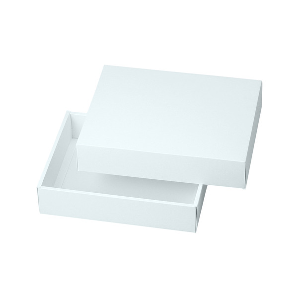 【エントリーでポイント7倍!12/4〜】【化粧箱】スノーホワイト大 20-255