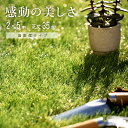 高密度タイプ 人工芝 2m×5m 芝丈35mm ロール 送料無料 人工芝 芝生マット 人工芝生 人工芝マット 人工芝ロール 芝生 ロールタイプ 固定ピン 庭 ベ...