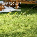 人工芝 高密度防草タイプ 芝丈35mm(2×5m 2×10m)