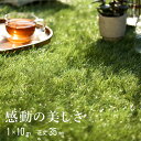人工芝 1m×10m 芝丈35mm ロール 人工芝生 高密度44万本/m2 芝生マット 人工芝マット 人工芝ロール ロールタイプ 固定ピン 庭 ベランダ テラス...