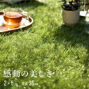 人工芝 2m×5m 芝丈35mm ロール 高密度44万本/m2 芝生マット 人工芝生 人工芝マット 人工芝ロール 芝生 ロールタイプ 固定ピン 庭 ベランダ テ...