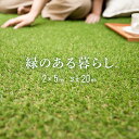 人工芝 2m×5m 芝丈20mm ロール 送料無料 人工芝 芝生マット 人工芝生 人工芝マット 人工芝ロール 芝生 ロールタイプ 固定ピン 庭 ベランダ テラス...