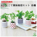 M【全国送料無料】聖新陶芸 おちょこで薬味栽培セット 栽培セット 栽培キット 白磁 しそ 唐辛子 わさび菜 三つ葉 野菜 種 家庭菜園 プチギフト 贈り物 プレ...