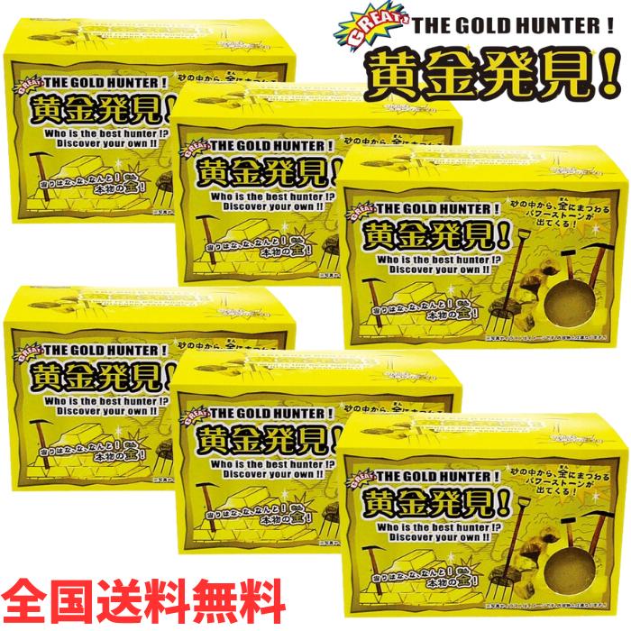 A【全国送料無料】【6個セット】ノルコーポレーション 宝物発見シリーズ 黄金発見 TKZ-7-01【A倉庫】
