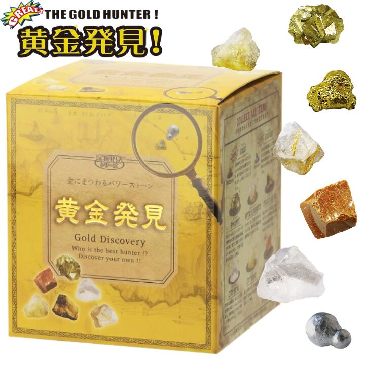 【単品】黄金発見 ノルコーポレーション 宝物発見シリーズ 知育 玩具 おもちゃ 発掘 鉱石 パワーストーン 小学生 理科 サイエンス 男の子 女の子【宅急便配送】