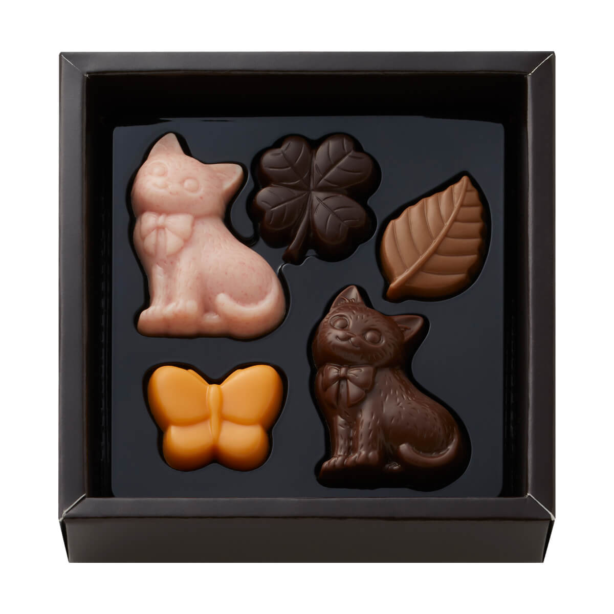 モロゾフ ショコラな猫 のんびり屋のクウ 5個入バレンタイン 2026 期間限定 チョコレート ショコラ フルーツ お酒不使用 猫 三毛猫 アソート 詰合せ かわいい プレゼント ギフト プチギフト 公式
