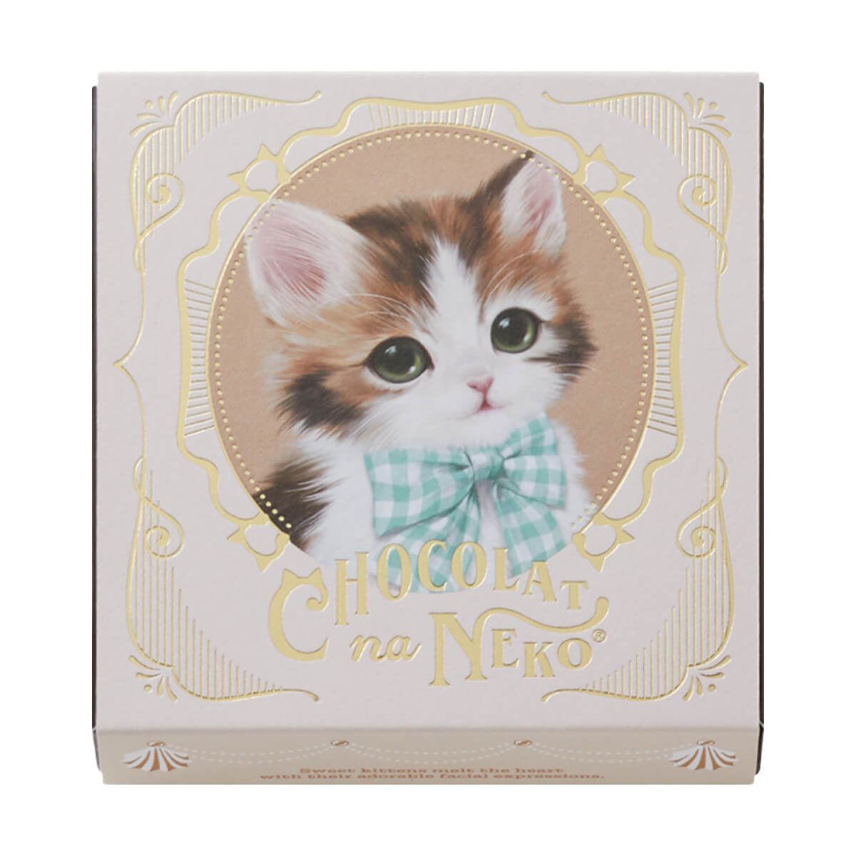 モロゾフ ショコラな猫 のんびり屋のクウ 5個入バレンタイン 2026 期間限定 チョコレート ショコラ フルーツ お酒不使用 猫 三毛猫 アソート 詰合せ かわいい プレゼント ギフト プチギフト 公式