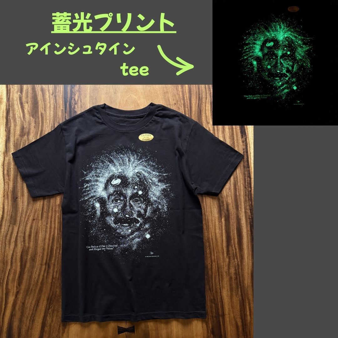 楽天市場】アインシュタイン（Tシャツ・カットソー｜トップス