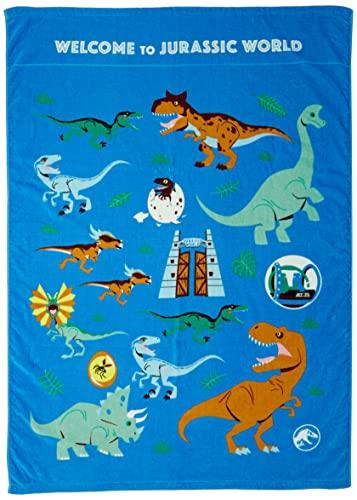 丸眞 ブランケット 夏用 子供 ジュラシックワールド 恐竜 ミニバスタオル タオルケット キャラクター ..