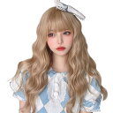 Villo 人工毛 ウィッグ ロング ストレート姫カット ウイッグ 黒髪 女装 フルウィッグ ロリータ コスプレ かつら wig 小顔 自然 耐熱 ネット ギフ...