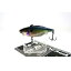 JACKALL(ジャッカル) バイブレーション TN70 フルタングステン 70mm 18.5g ウロコホロ SSシャッド JACKALL(ジャッカル) バイブレーション TN70 フルタングステン 70mm 18.5g ウロコホロ SSシャッド