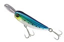 JACKALL(ジャッカル) ミノー ライザーベイト 004 40mm 5.6g ナマイワシ ルアー