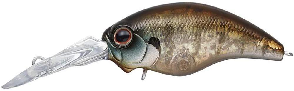 エバーグリーン(EVERGREEN) モード ワイルドハンチ #246 稚ギル 5.2cm / 9.6g