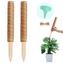 YOUSHY園芸支柱 観葉植物モンス テラ ヘゴ支柱つる性植物 ココスティック 植物サポートフラワースタンド ココナッツ 花支え ガーデニング 農業用 園芸用 ...