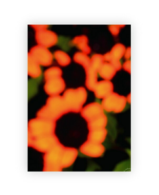 CABARET POVAL EMIRP POSTER