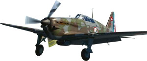 ドラウイングス 1/48 フランス モラーヌ・ソルニエ MS.406C.1 フランスの戦い プラモデル 組立キット DWS48031