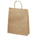 タカ印 ギフトバッグ 50-6101 手提げ 未晒無地 小 10枚