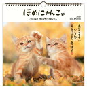 ホールマーク 2025年 カレンダー 壁掛け 大 ほめにゃんこ 834-630