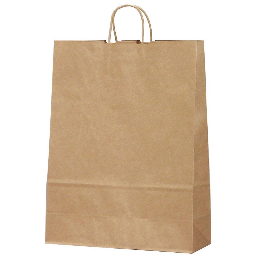 タカ印 ギフトバッグ 50-6401 手提げ 未晒無地 特大 10枚