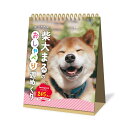 新日本カレンダー 2024年 カレンダー 卓上 柴犬まるのおしゃべり週めくり NK4308