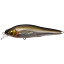 メガバス(Megabass) ミノー X-80SW LBO SHALLOW M スターダストベイト 38866 ルアー メガバス(Megabass) ミノー X-80SW LBO SHALLOW M スターダストベイト 38866 ルアー