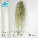 フェイクグリーン 吊り下げ 壁掛け 観葉植物 造花 スパニッシュモス おしゃれ ナチュラル ボリューム大 インテリア カフェ風 癒し 空間装飾 造花グリーン 長...