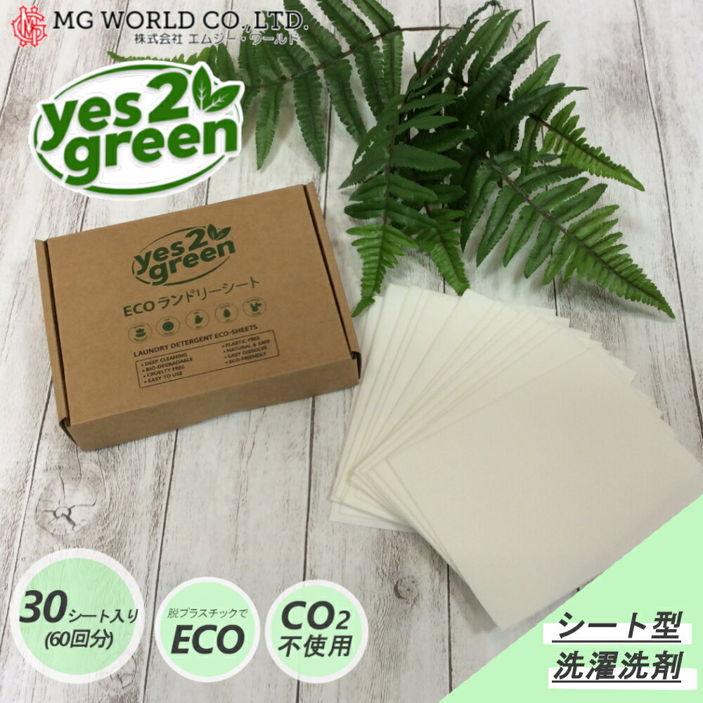 ȷ  Yes2Green ECO ɥ꡼ 30 60ʬ MG ڤ㤤ʪ3980߰ʾ̵ 2꡼ ۹ ѹ  ؤ ܤʤ 